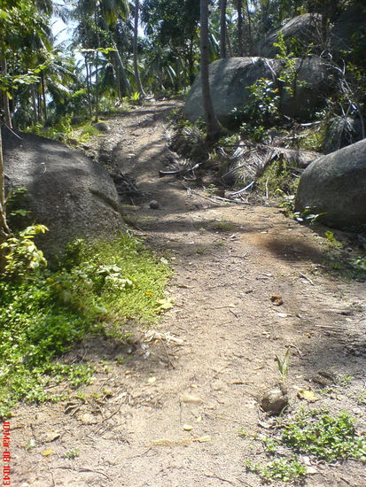 Haetten wir da mal schon gewusst, wieviel mehr Spass mehr das mit ner ordentlichen Crossmaschine macht..