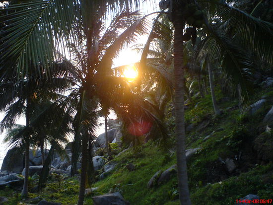 every day.. same same but different