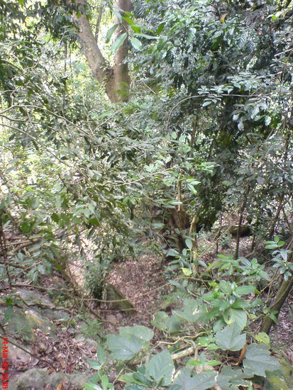 Aufnahme senkrecht nach unten mit der einen Hand.. festhalten an Liane mit der anderen.. warum koennen die auch keine Leiter neben den Wasserfall bauen?! =)