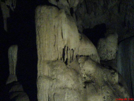 Der Profi erkennt den Elefanten sofort 