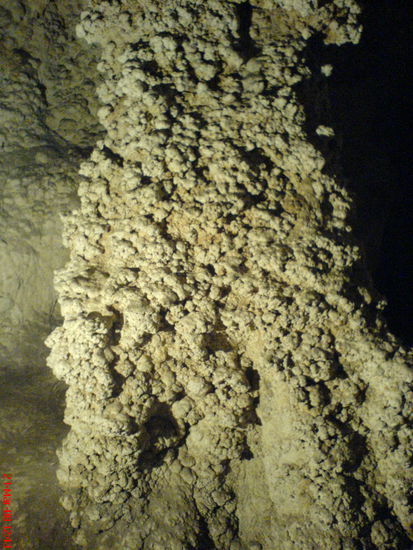 Popcorn sieht auch der Laie auf Anhieb