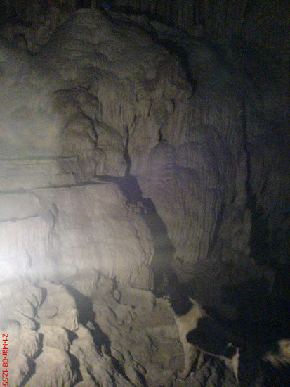 Suesser Wauz und seine Freundin haben uns auf Schritt und Tritt begleitet