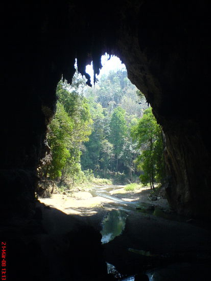 ..und der Dschungel dahinter..