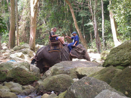 Der arme duerre Elefant! =(