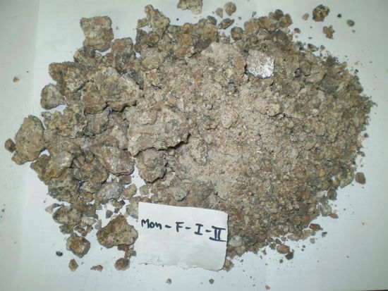 NEIN - Kein Kuhfladen! 
Gestatten: "Mon - F - I - II"