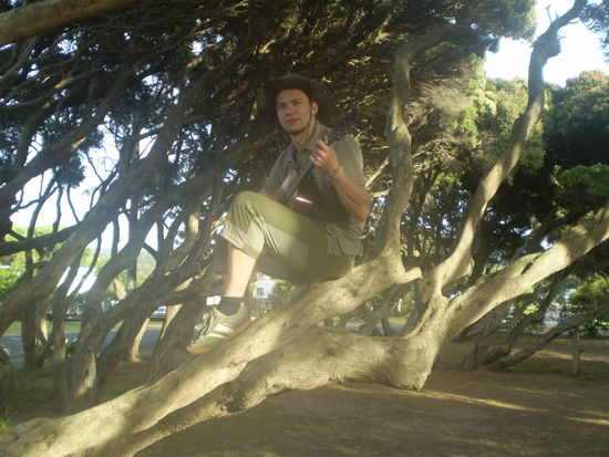 So nen schoenen Gitarrenbaum durfte ich bisher noch nie be"sitzen" und bespielen 