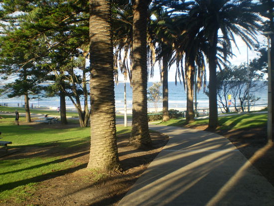 der Weg runter zum Strand... Boah ich bin so ein unverschaemter Glueckspilz...