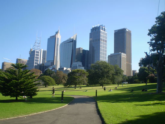 Skyscrapers hinter dem Botanischen Garten