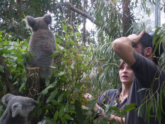 Wenn der Onkel Doktor kommt...