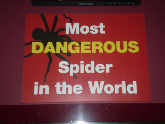 Man mag hier Superlative... erwaehnte ich das?!