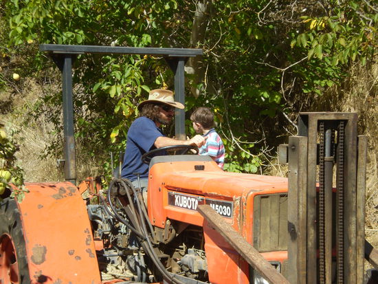 Jason und Kym beim Versuch Traktor zu fahren... was gelang... 