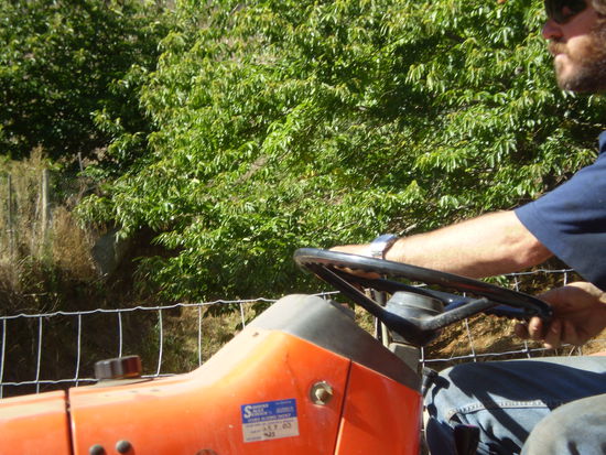 Ride Ride Ride - He's the Warlord of the Road...