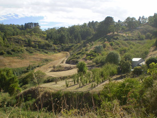 Das ist in der Naehe von Sheoak Orchard in den Adelaide Hills! Schoen, nicht?!