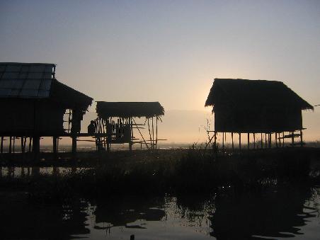 Morgenstimmung am See