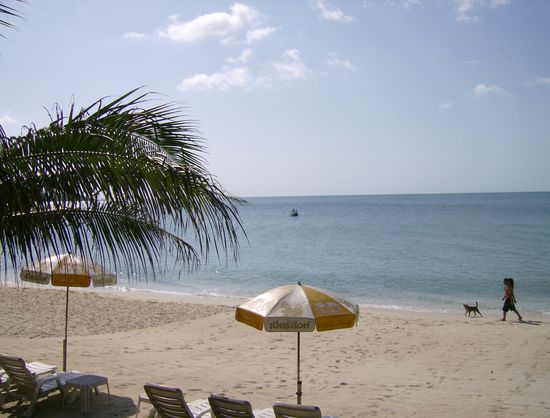 Unser Hausstrand auf Koh Samui!