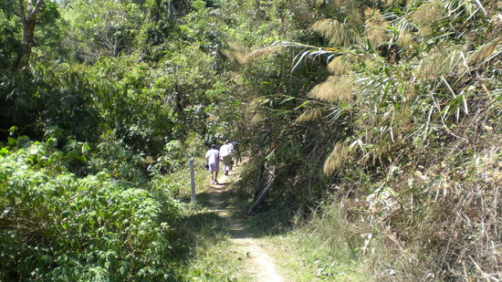 Der Eingang zum Dgungel