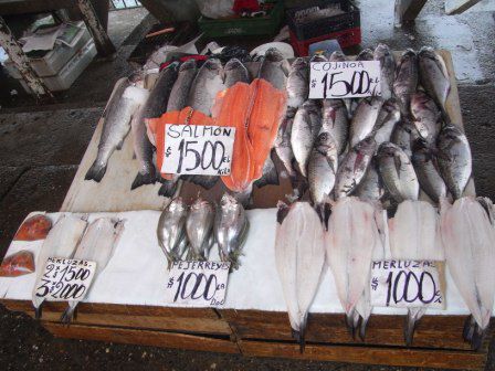 Sehr guenstig (3 US$ fuer 1kg Lachs).