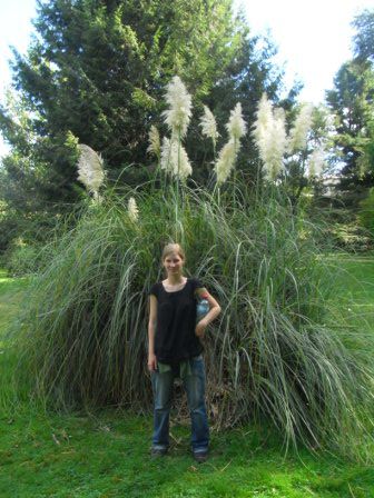 Im botanischen Garten.