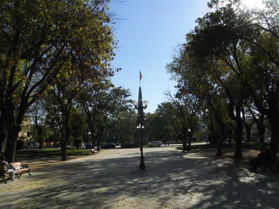 Allee