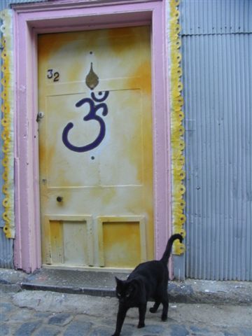 Achtung, schwarze Katze von links!