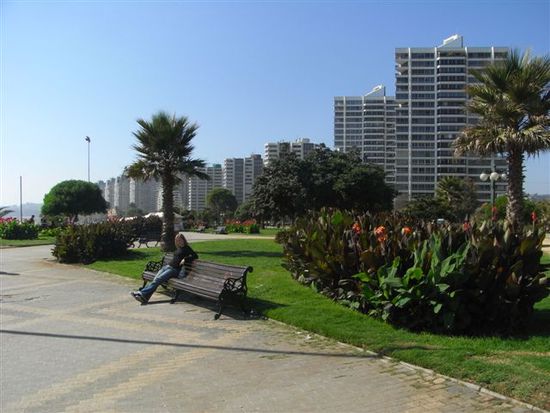 bluehenden Parks,