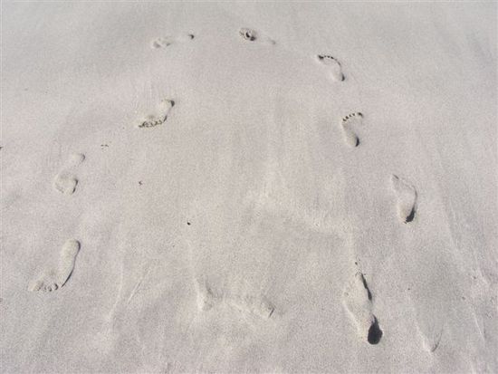 Spuren im Sand