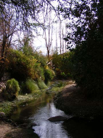 Ein kleiner Fluss ermoeglicht das satte gruen der Pflanzen.