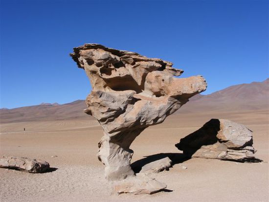 Arbol de Piedra - Baum aus Stein.
