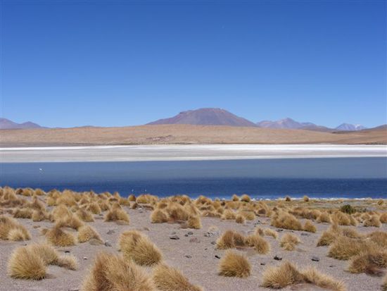 Laguna Cañapa - hier wird zu Mittag gegessen.