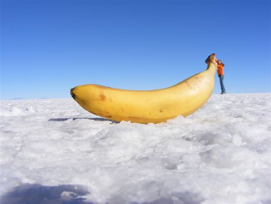 Beim Versuch, die Banane zu erklimmen.