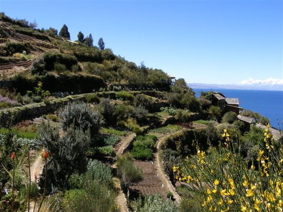 Jardín