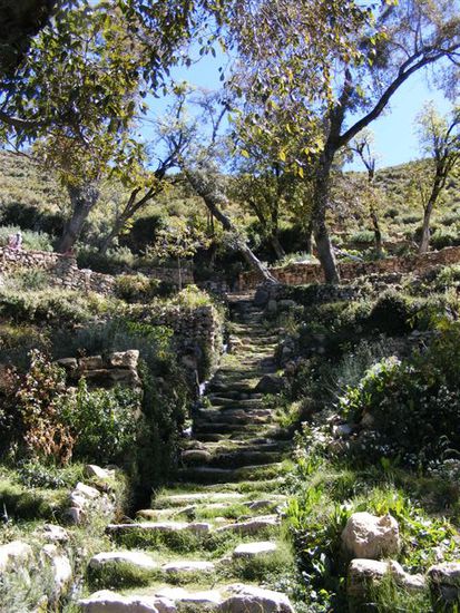 Escalera del Inca - 206 Inkastufen