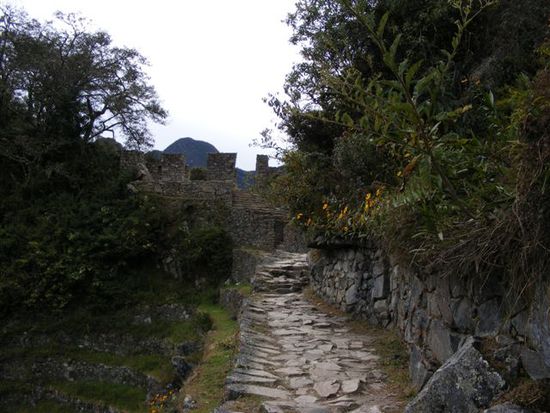 Inti Punku