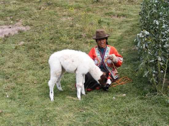 Frau mit Wollspindel und Llamita.