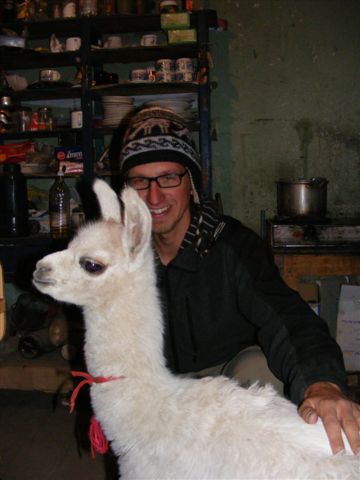 Das kleine Llamita hat seine Mama verloren und wird mit Flascherl gross gezogen. Vor lauter Hunger muss auch mal Julias Finger herhalten.
