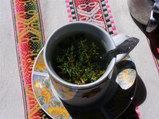 Mate de Chachacoma: hilft wie der Cocatee gegen Hoehenkrankheit.