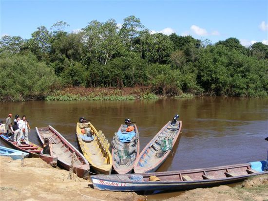Die Kanus warten bereits am Flussufer des Río Yacuma.