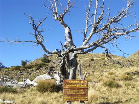 Monument an einen verantwortungslosen Wanderer, der durch einen Zigarettenstumpf einen Brand ausloeste.