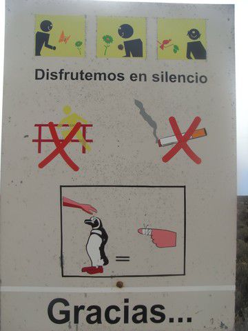 Ein boeser Pinguin weist auf moegliche Verletzungen hin.