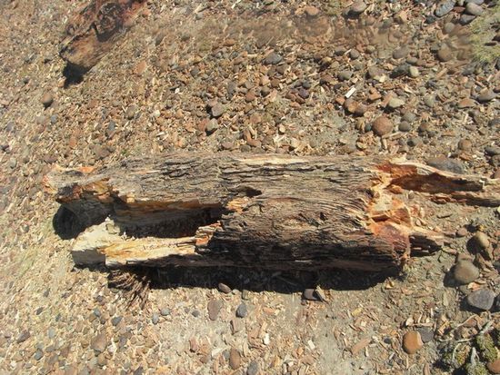 Sieht aus wie Holz, fuehlt sich aber an wie Stein... klingt komisch, ist aber so.