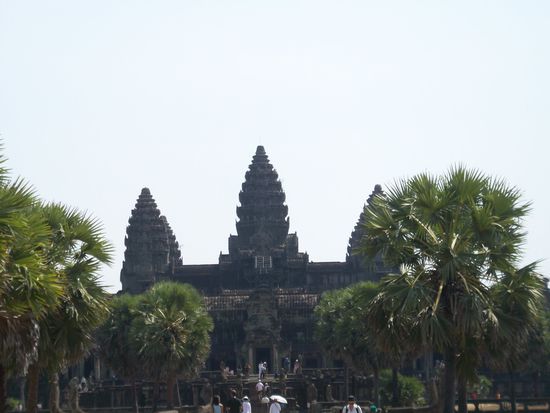 In seiner vollen Pracht