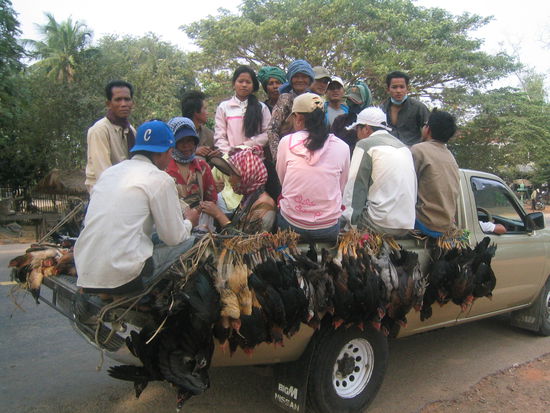 Pickup ..voll! Ciao ... Bye, Bye ... à bientôt !