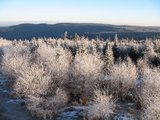 Blick vom Kaiser-Wilhelm-Turm auf den Nordschwarzwald. Höhe (dank Turm) 1.012 m ü. NN