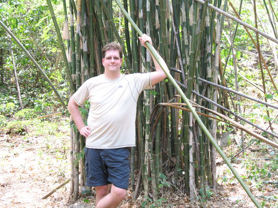 Bambus fuer Erwachsene, wobei es noch viel groesseren gibt. Sandra, habe ich wirlich schon abgenommen?