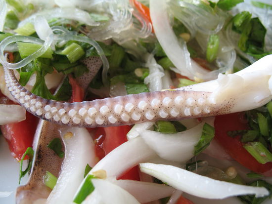 Hier noch eine Grossaufnahme 