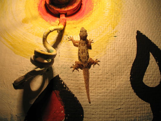 100% Biologischer Insektenvertilger