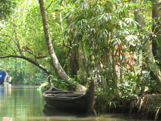 Backwaters in Alleppy