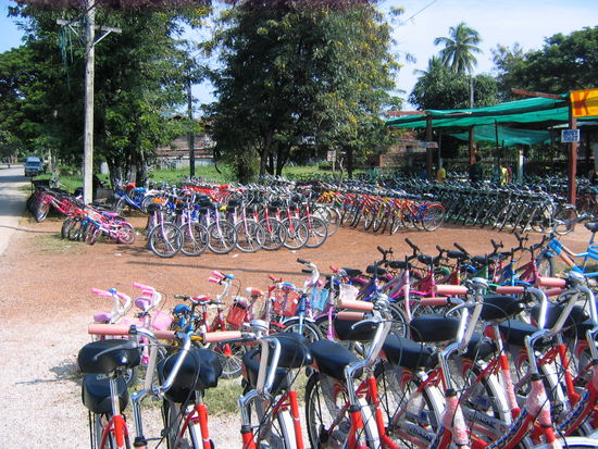 der Radverleih vor dem Eingang