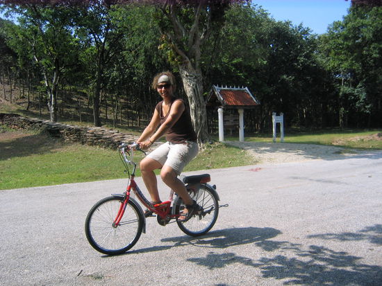 I want to ride my bicycle