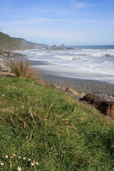 auf dem Weg nach Punakaiki
